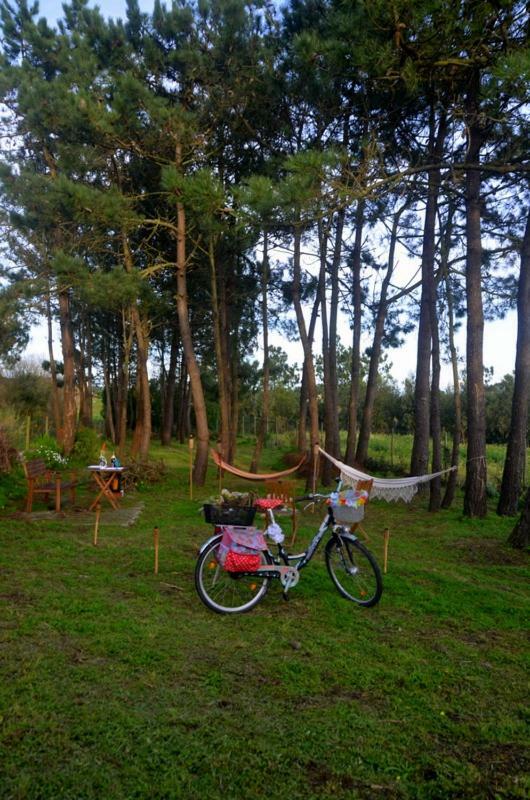 Happy Cat House - Holiday Rental Sao Martinho do Porto Bagian luar foto