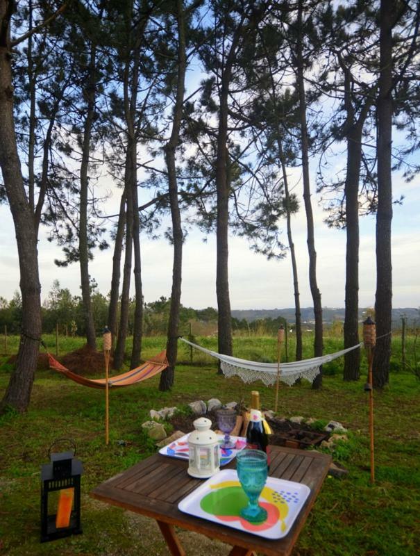 Happy Cat House - Holiday Rental Sao Martinho do Porto Bagian luar foto