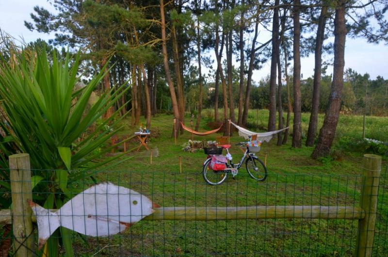 Happy Cat House - Holiday Rental Sao Martinho do Porto Bagian luar foto