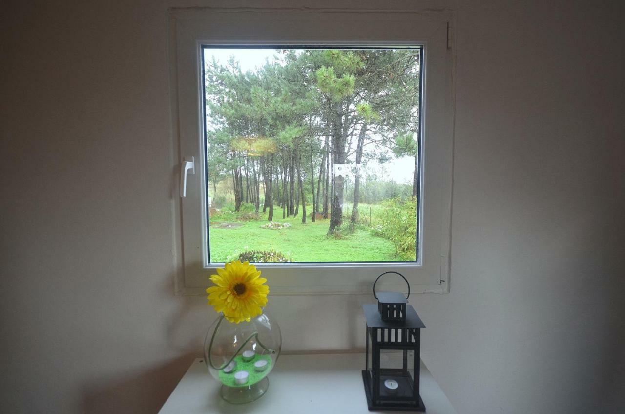 Happy Cat House - Holiday Rental Sao Martinho do Porto Bagian luar foto